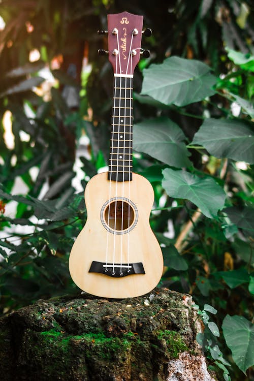 Acoustic ukulele placed on stone with moss · Free Stock Photo