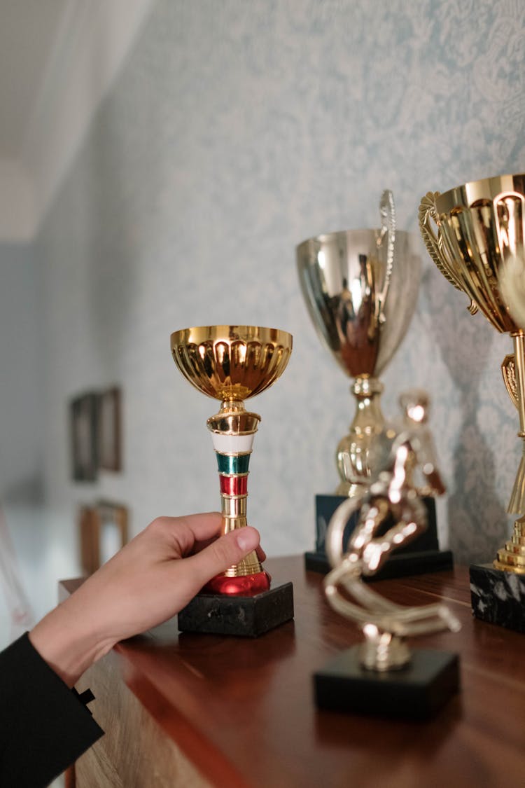 Person Holding A Trophy On Wooden Table Top