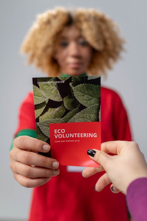 Shallow Focus of Red Brochure