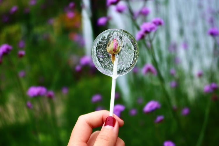 Hand Holding Flower In Bubble