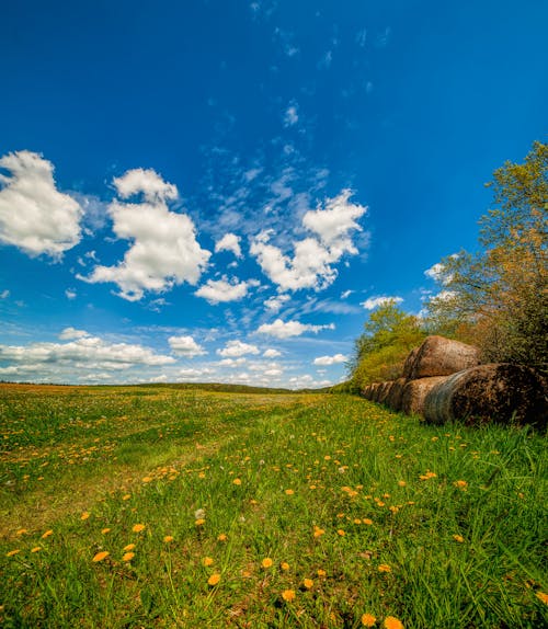 Immagine gratuita di campagna, campo di fieno, cielo azzurro