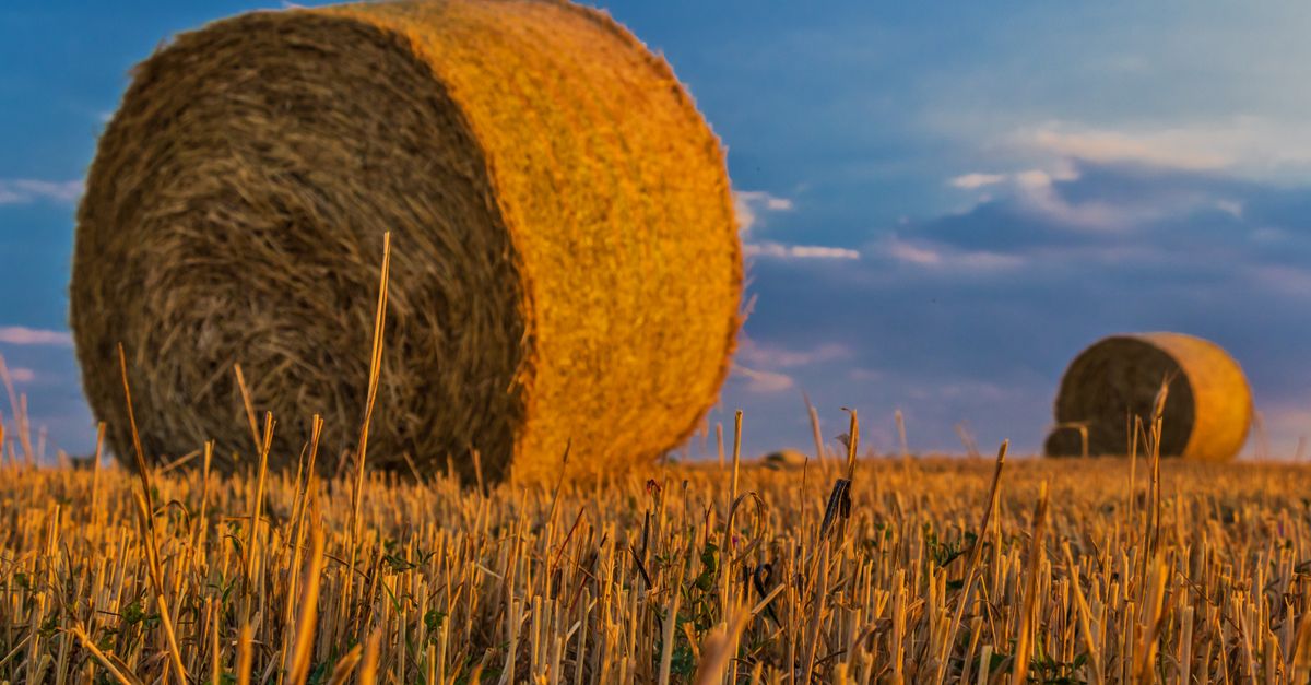 Les meilleures pratiques pour charger votre remorque agricole