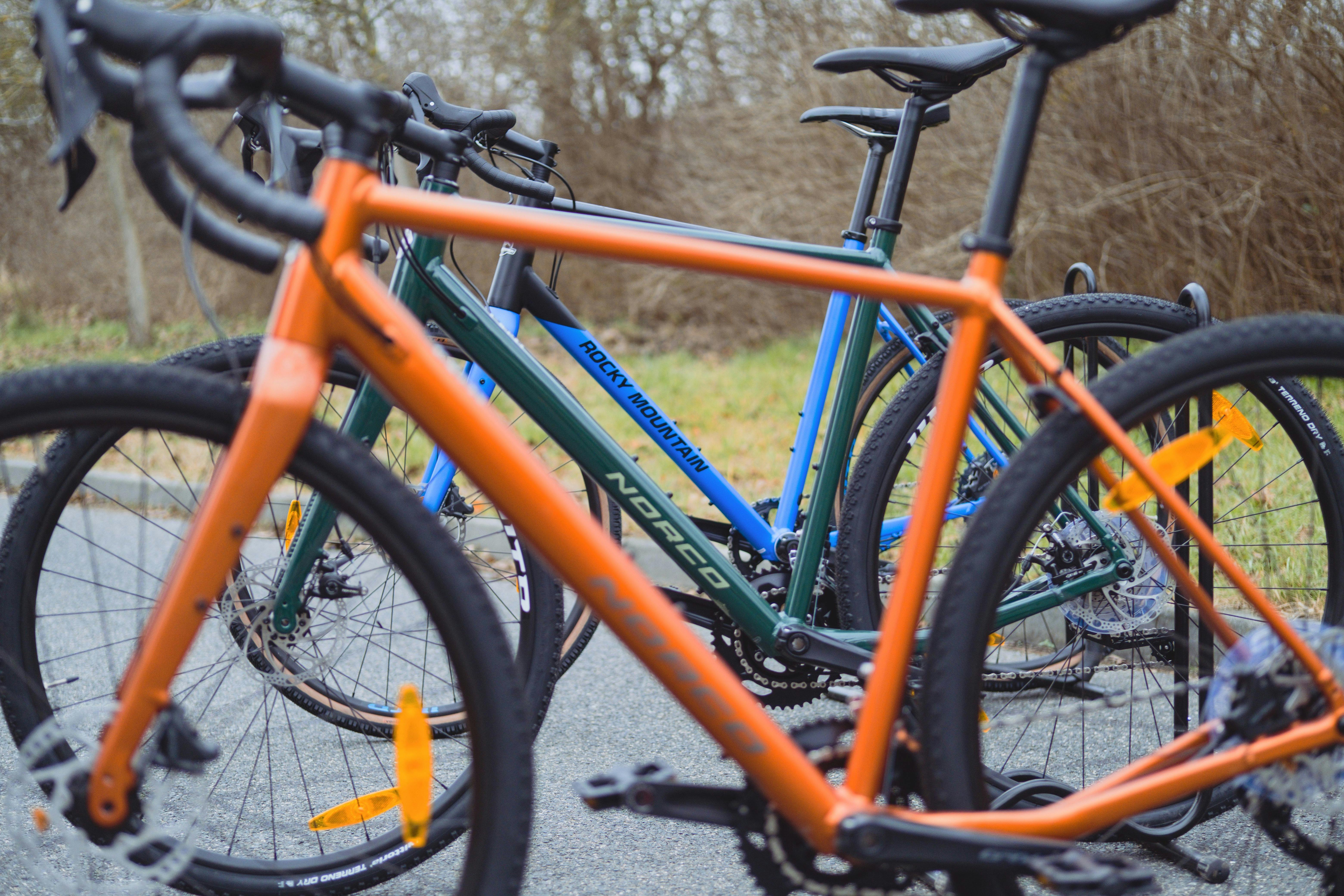 Three vibrant road bikes parked on an asphalt path surrounded by nature. Bike riding scene.