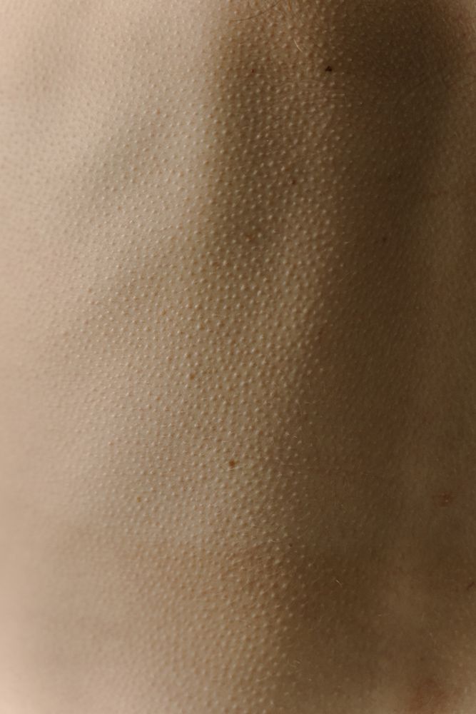 Humantexture Photos, Download The BEST Free Humantexture Stock Photos ...