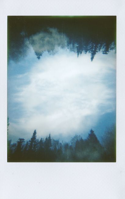 A serene forest reflected in the sky, capturing the essence of nature and tranquility.