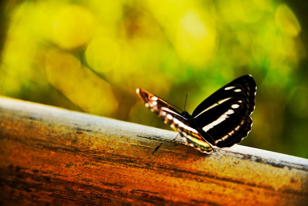 Modern pet grooming salon interior