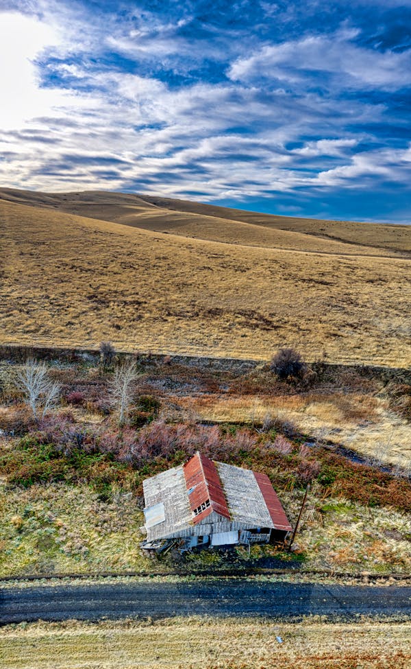 Gentle pet care and grooming process