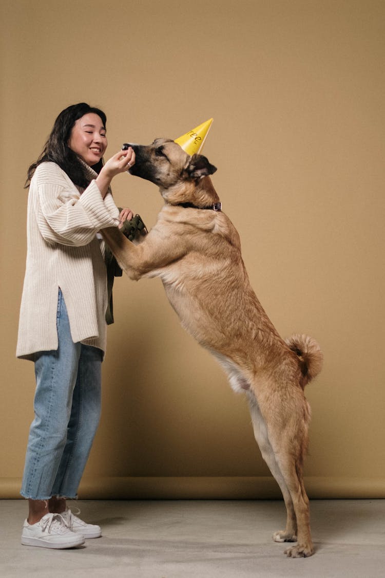 Dog Playing With His Owner