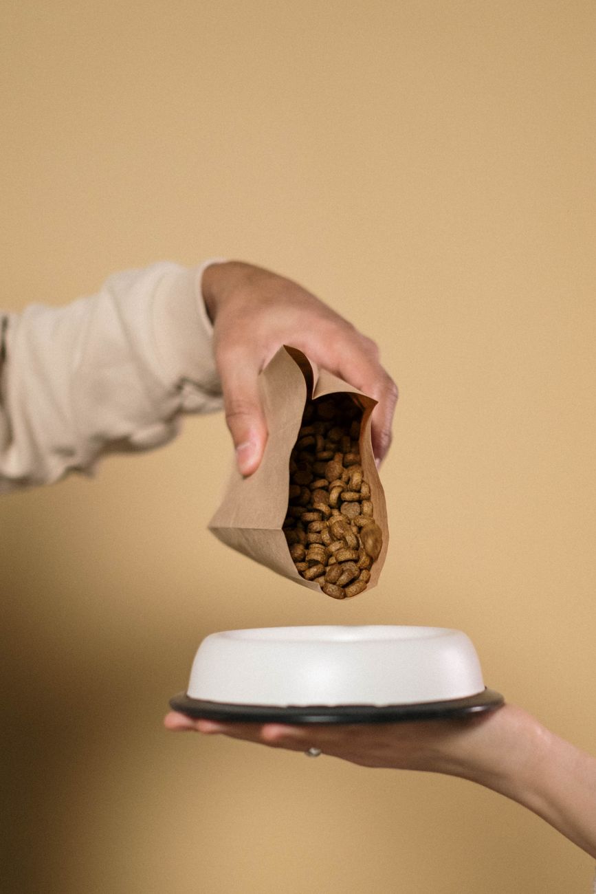 Person reading the ingredient list on a dog biscuit package