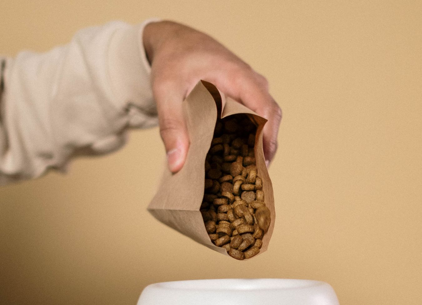A kibble brand strategist analyzing market trends
