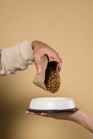 Wet Food