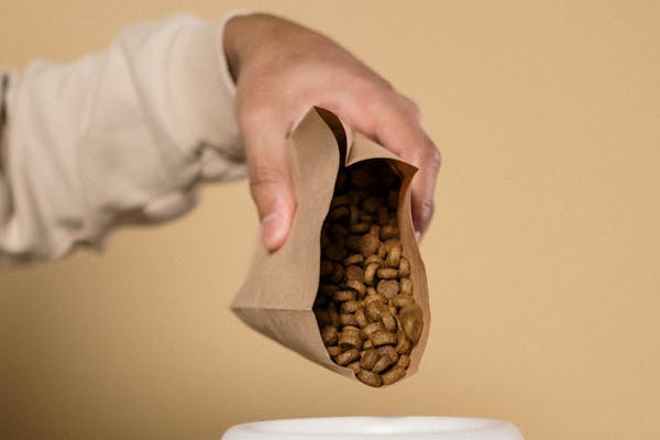 Ração e alimentação para pets