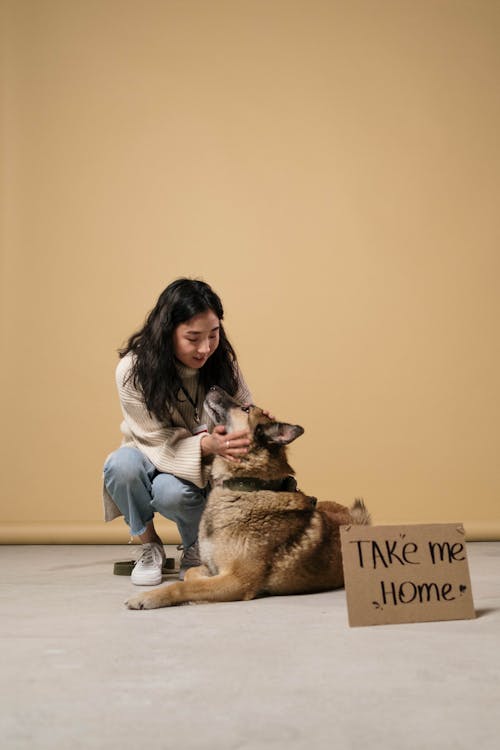 Free A Woman Holding a Brown Dog Stock Photo