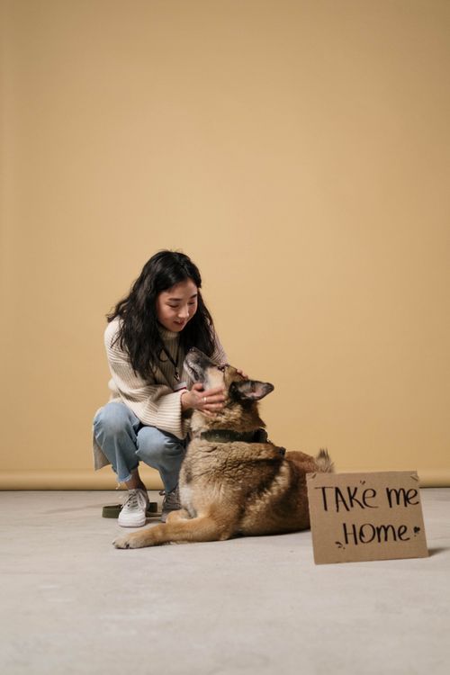 Free A woman lovingly interacts with a dog seeking adoption, with a sign 'Take Me Home'. Stock Photo