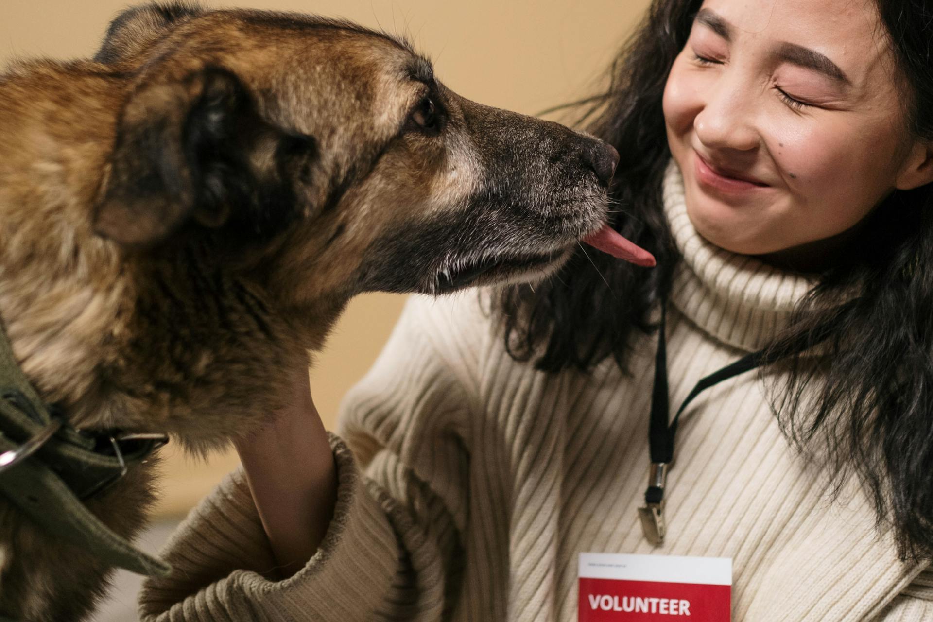 Crop smiling woman with closed eyes and badge stroking cute dog with brown coat