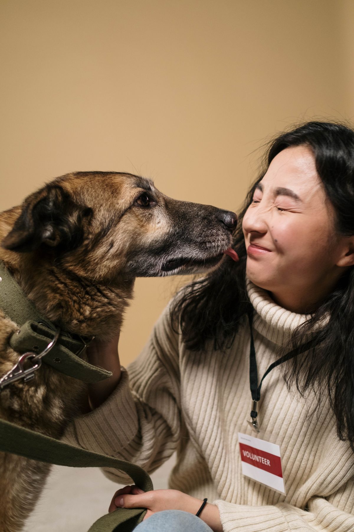 Pet parent gently grooming a dog