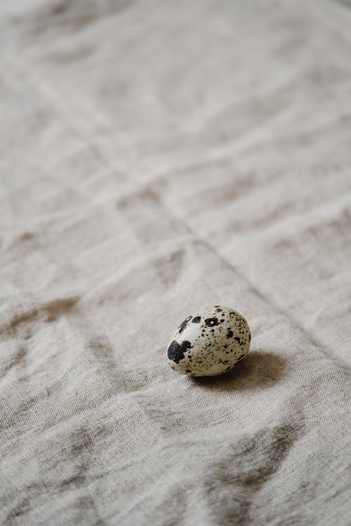 Free Quail Egg on Cloth Stock Photo