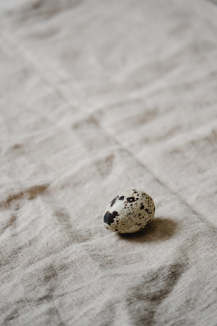 Quail Egg On Cloth