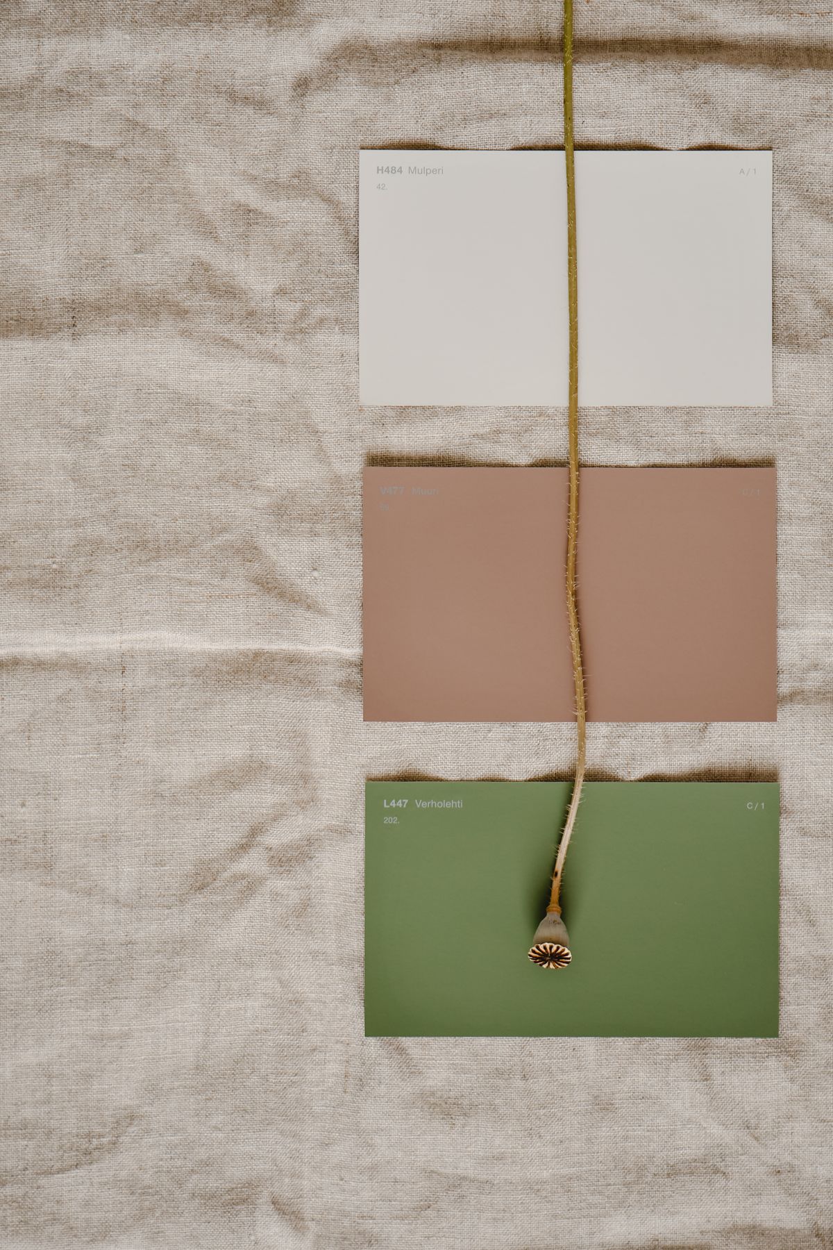 Beige and green paint colour sample cards, showing colour pairings