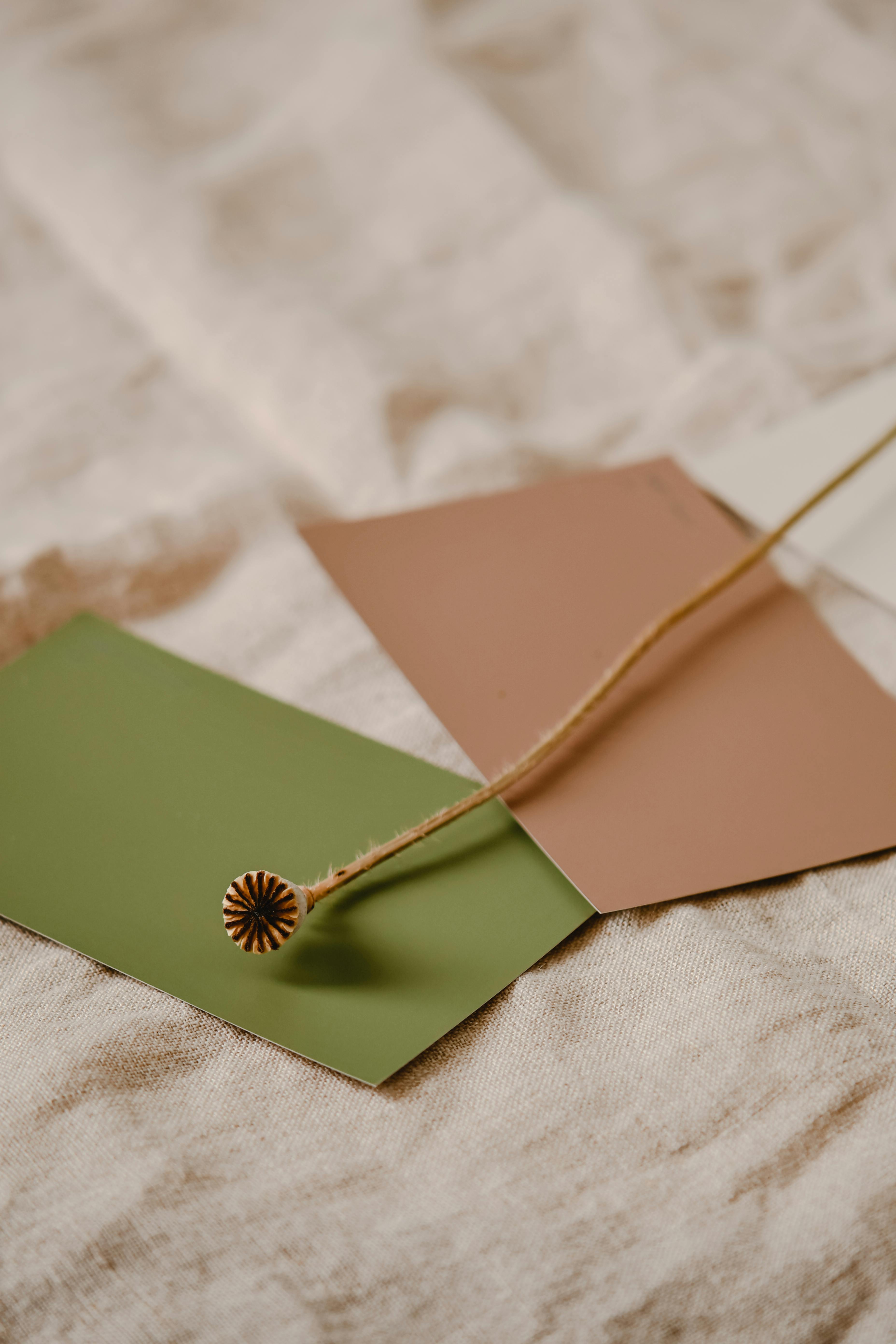 Kostenlos Kostenloses Stock Foto zu #indoor, anordnung, ästhetisch Stock-Foto