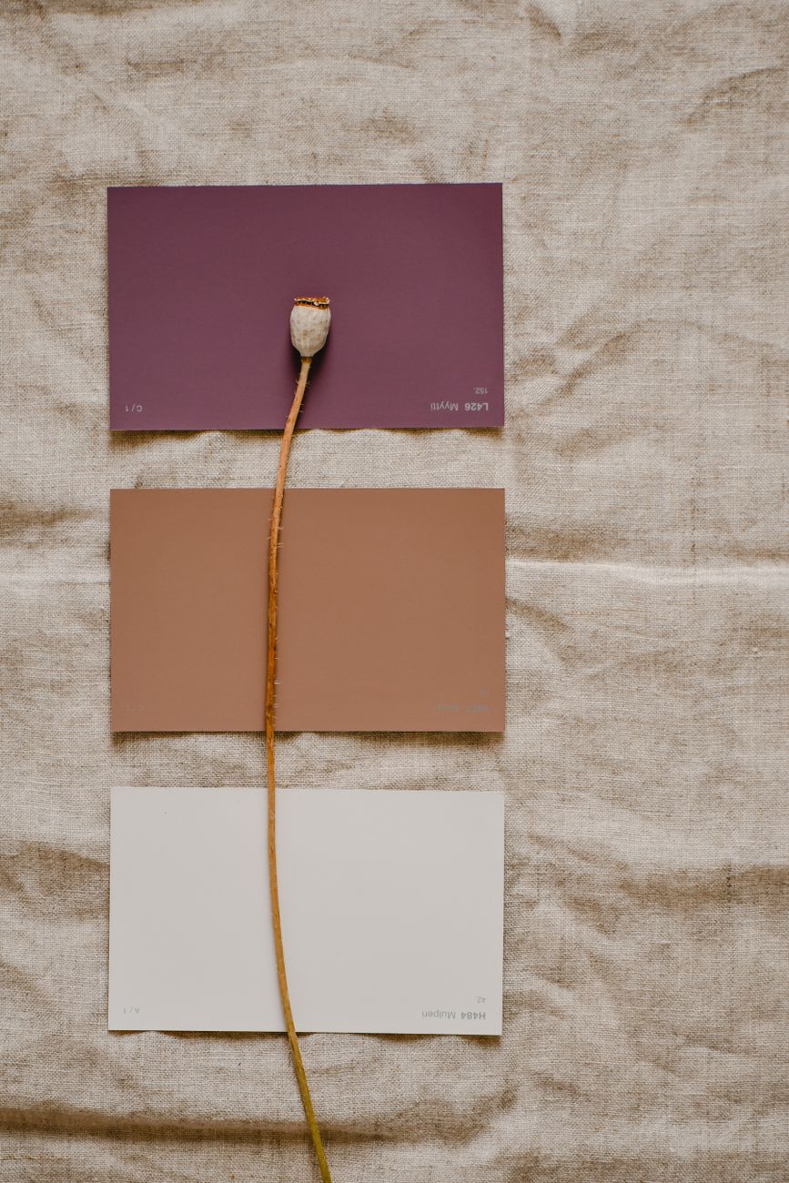 Arrangement of color sample cards with poppy stem on neutral linen, showcasing a minimalist aesthetic.. pexels, arrangement,
