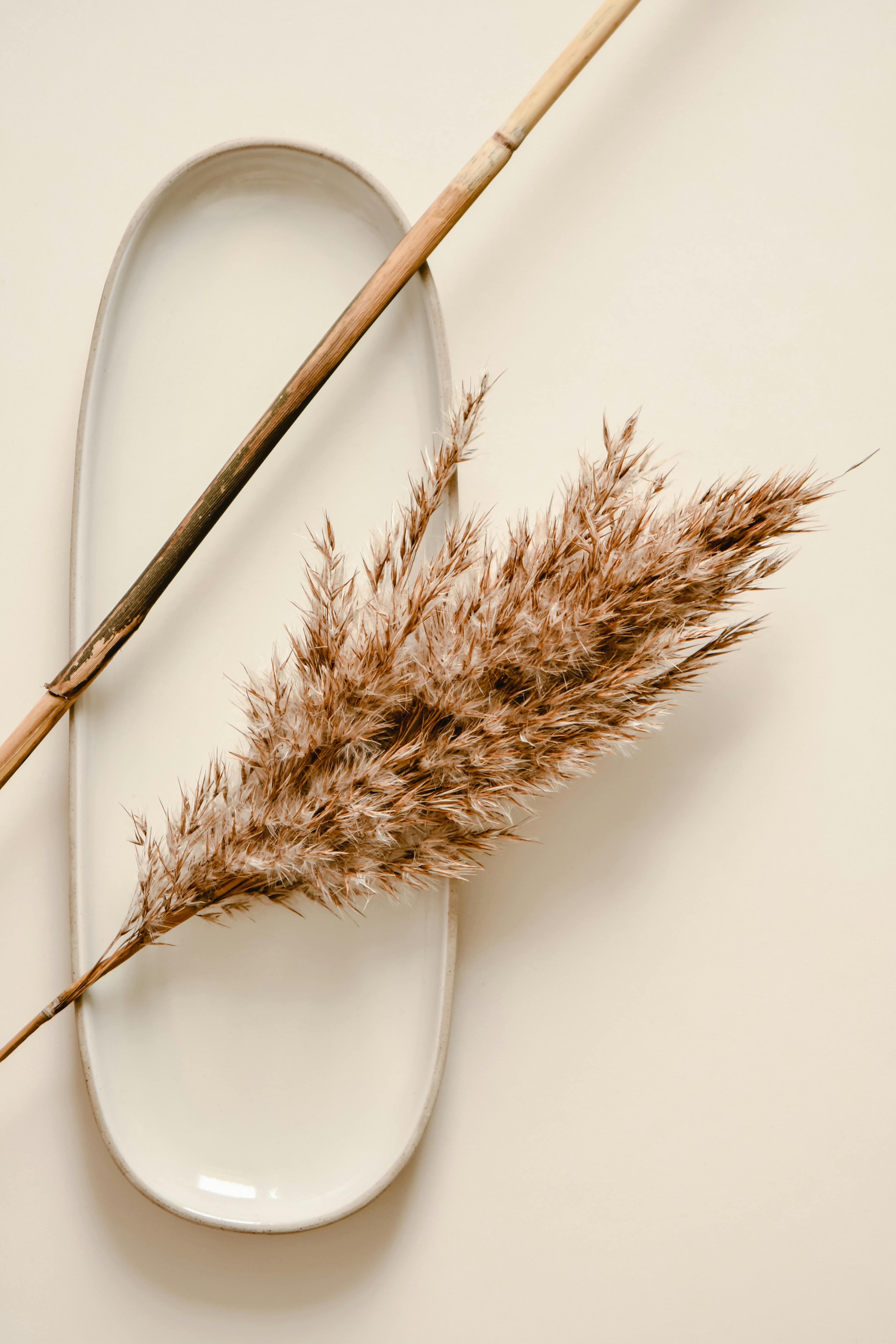 dry straw on porcelain plate