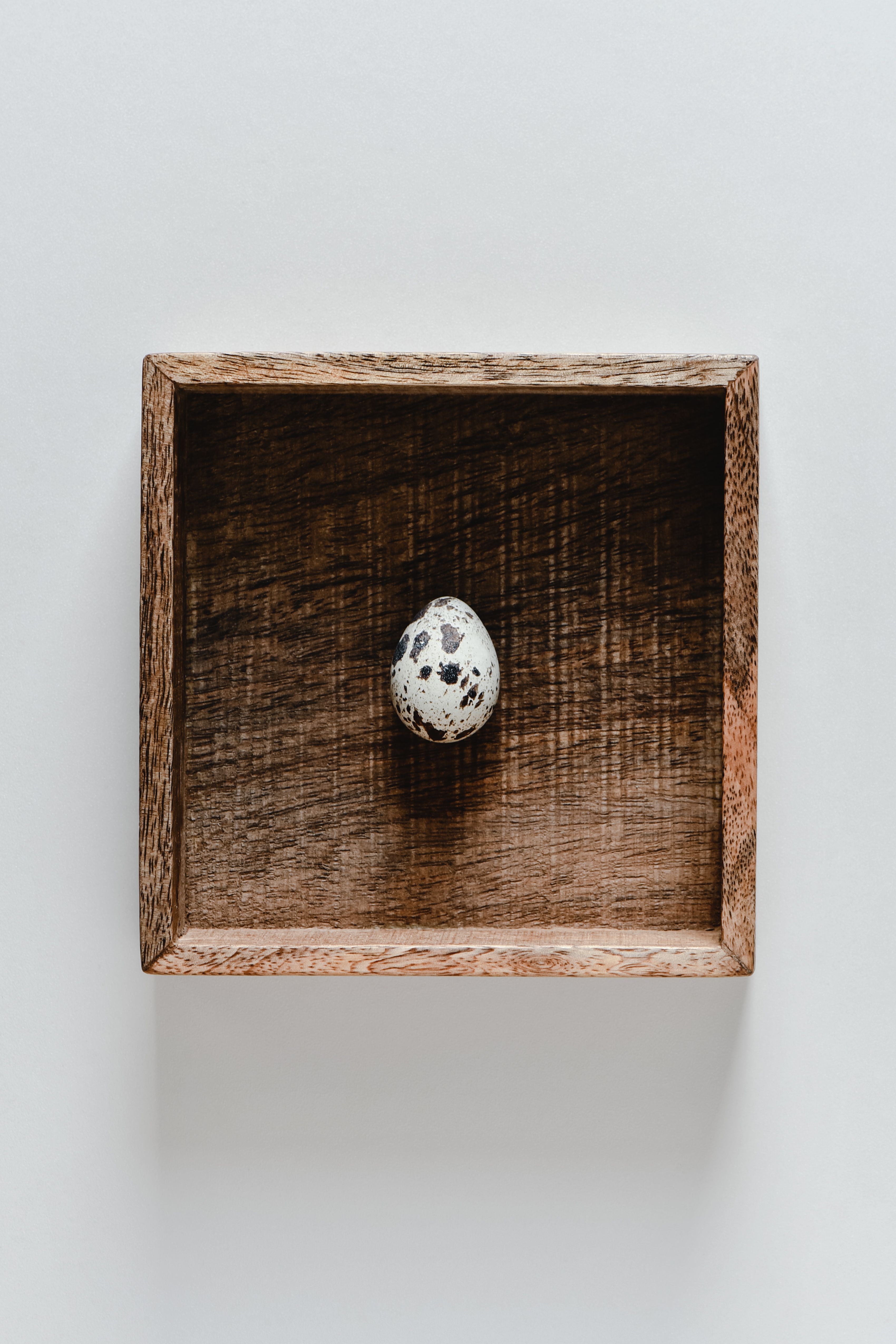 A fragile quail egg nestled in a wooden box — visual analogy for a snug inner camera box.