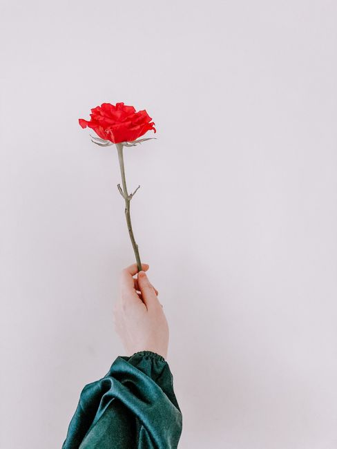 Crop unrecognizable female in elegant green blouse holding fresh green rose against white background