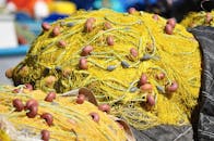 Yellow Fishnet in Close Up Photography