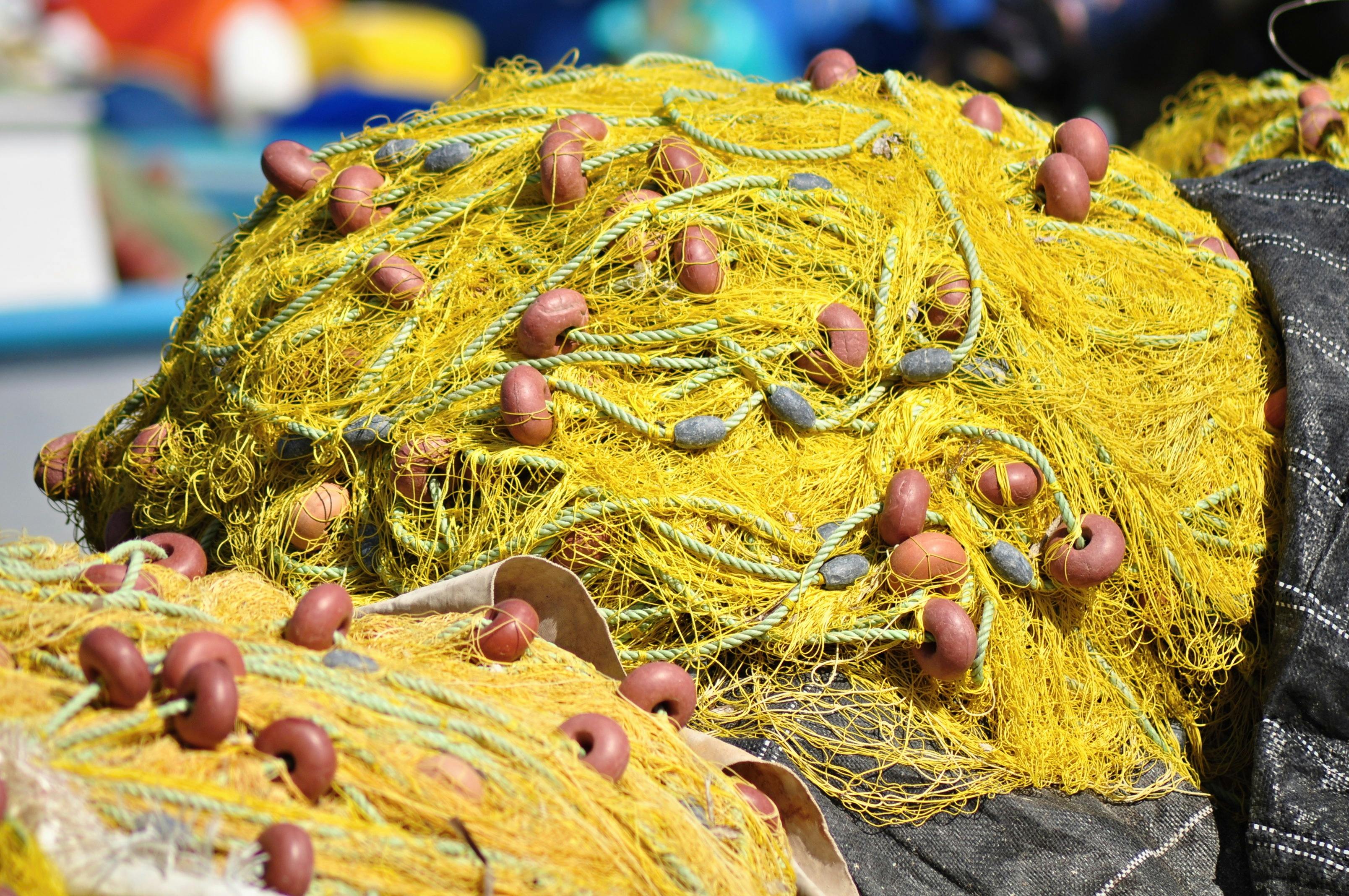 Floating Buoys of a Fish Net · Free Stock Photo