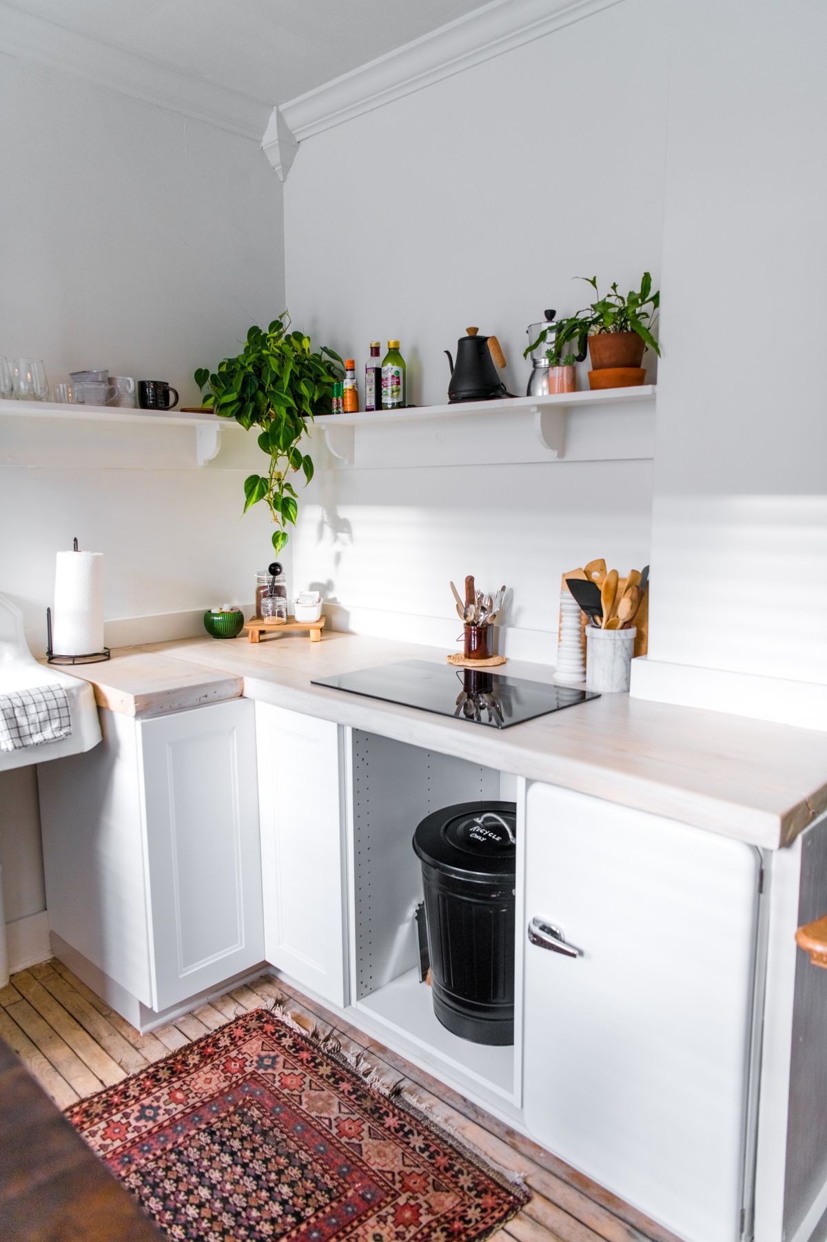 Bright white kitchen with greenery and natural light