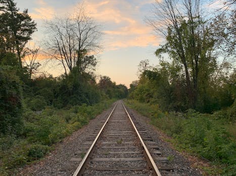 A tranquil railway track running through dense greenery at sunset in Brampton, Canada.