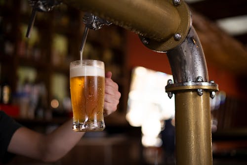 A Person Holding a Mug of Beer