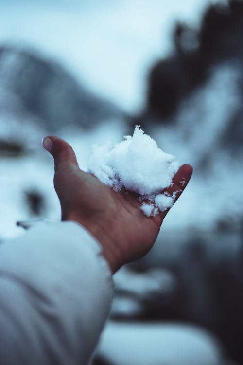 A Person Holding White Snow