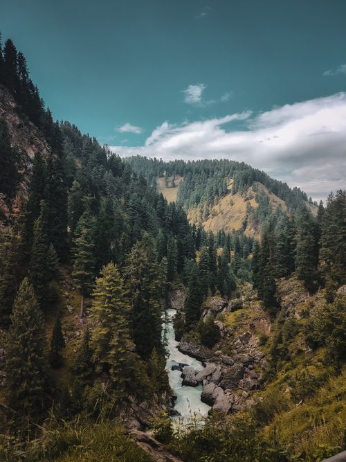 Free Vibrant nature scene featuring a river flowing through pine-filled mountains under a blue sky. Stock Photo