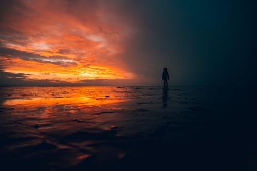 Silhouette of a Person Standing on the Shore