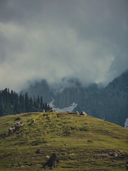 Kostenloses Stock Foto zu berge, bewölkter himmel, landschaft