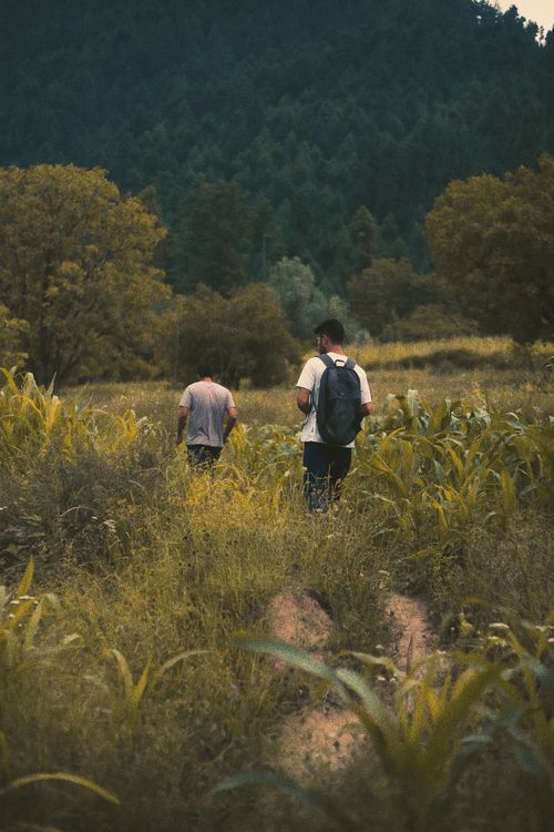 Free Two men hike through lush green fields surrounded by forested mountains on a peaceful day. Stock Photo