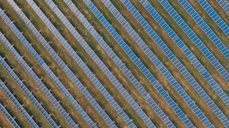 Textured Background Of Solar Panels In Countryside Field