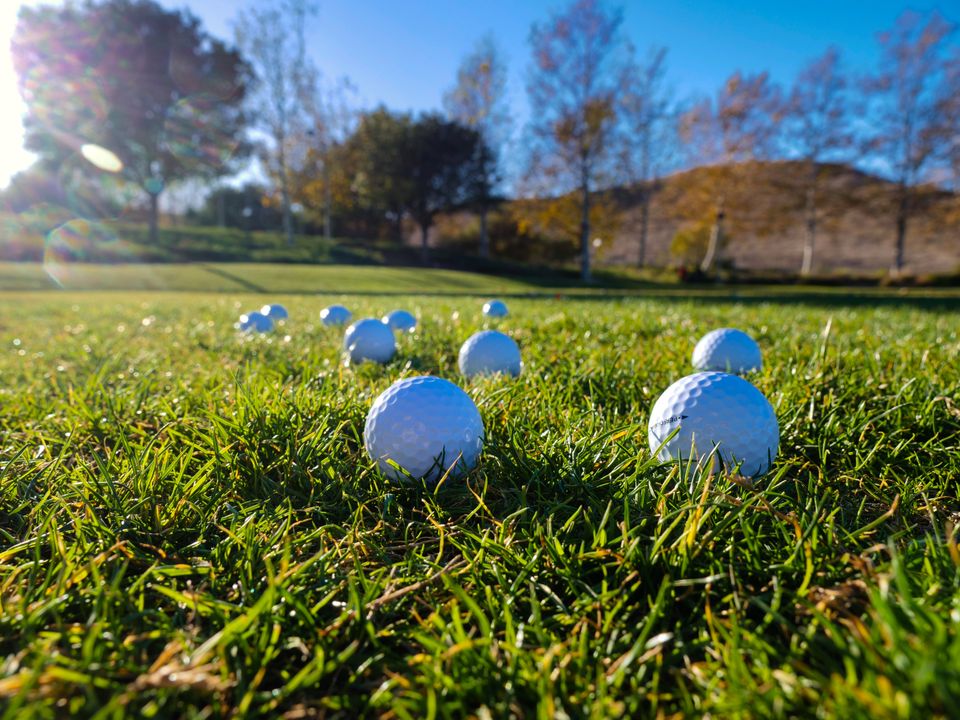 Two white golf balls side by side in the grass, more balls behind them in low sun