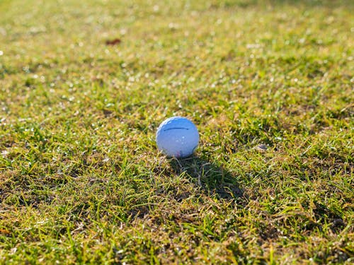 草, 運動器材, 高爾夫球 的 免费素材图片