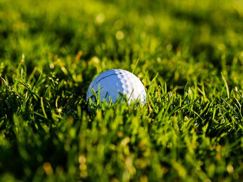 Close Up of a Golf Ball in the Green Grass