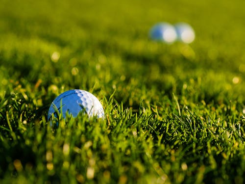 Close Up Photo of Golf Ball on Green Grass