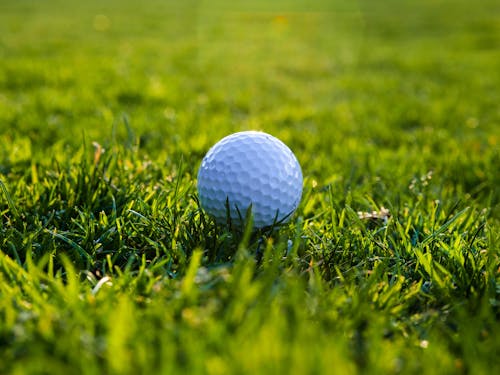 A White Golf Ball on the Green Grass