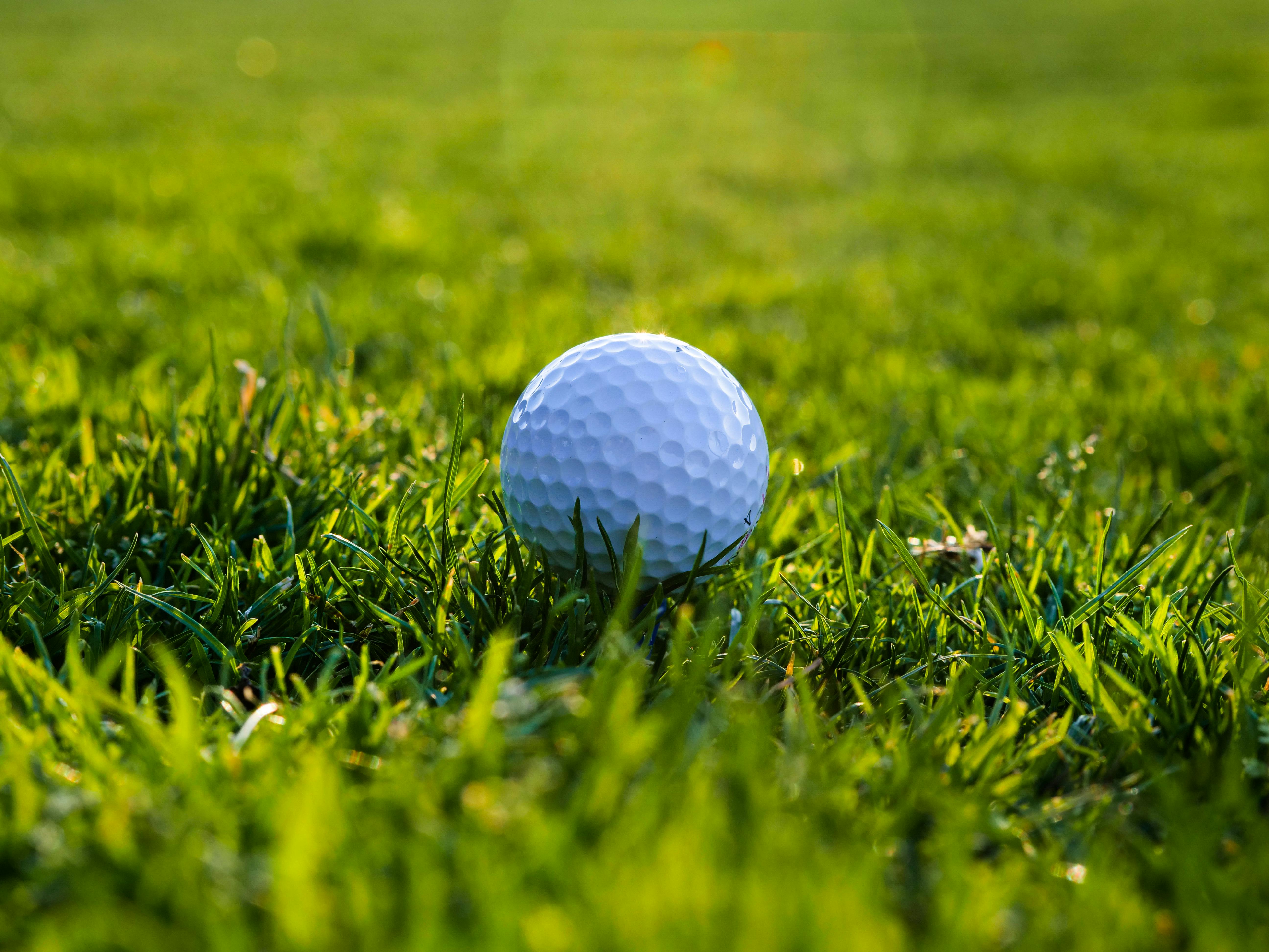 A White Golf Ball on the Green Grass · Free Stock Photo