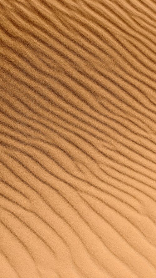 From above of backdrop representing sandy land with wavy surface and loose texture in daytime