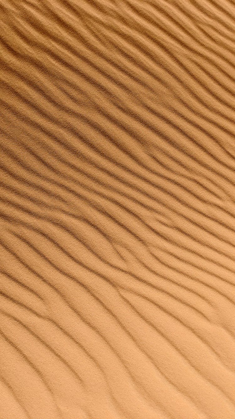 Textured Background Of Sandy Terrain In Desert