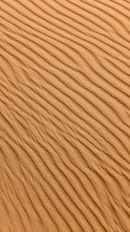 Foto profissional grátis de ao ar livre, areia, castanho