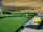 turf