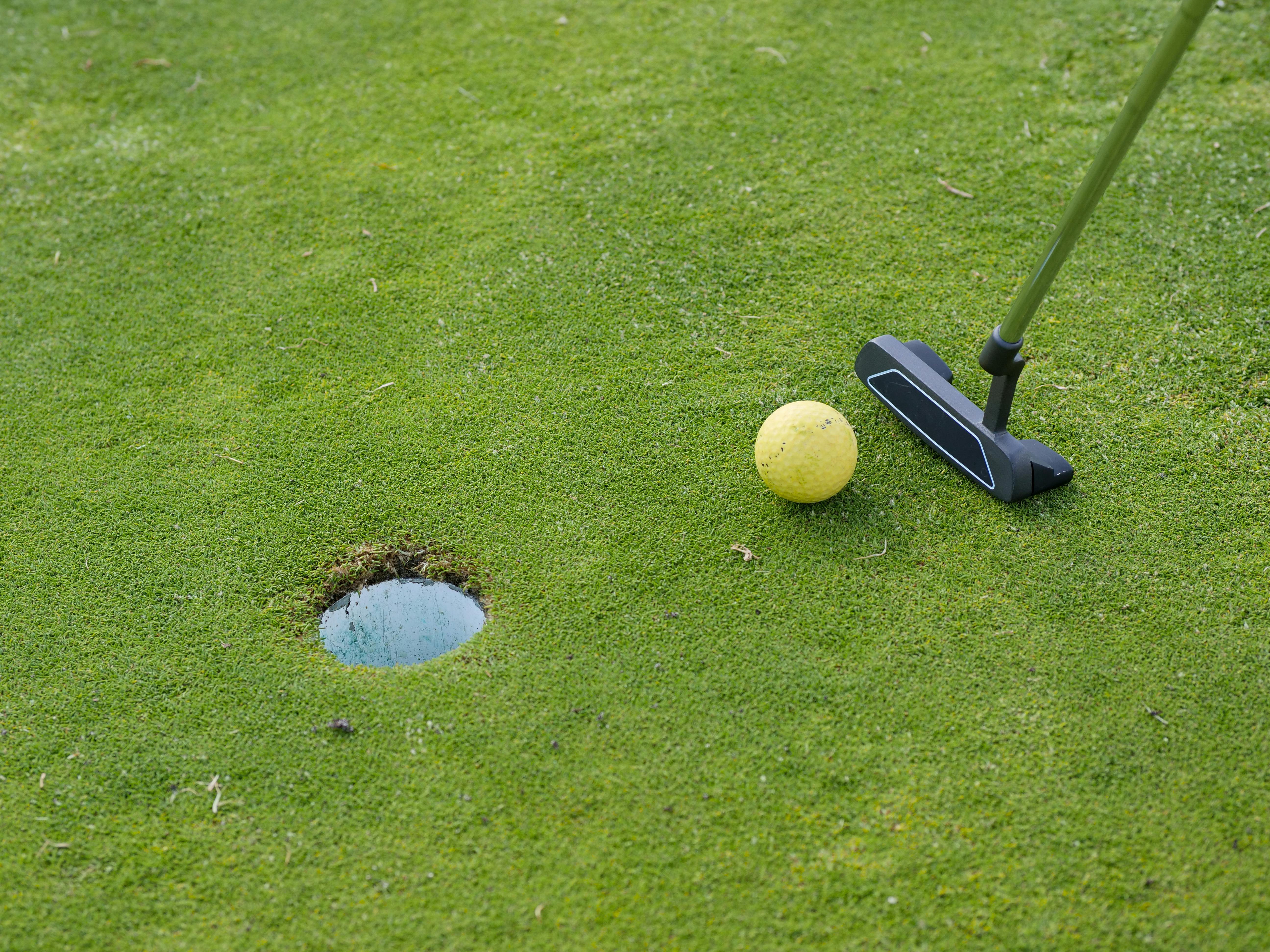 a golf putter and ball near the green hole